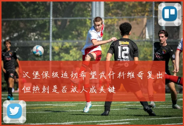 汉堡保级迫切希望武什科维奇复出但热刺是否放人成关键