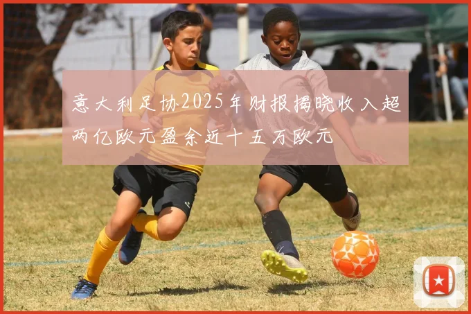 意大利足协2025年财报揭晓收入超两亿欧元盈余近十五万欧元