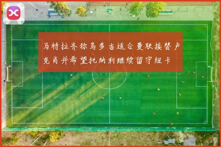 马特拉齐称乌多吉适合曼联接替卢克肖并希望托纳利继续留守纽卡