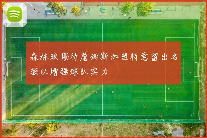 森林狼期待詹姆斯加盟特意留出名额以增强球队实力
